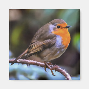 Imán Plump Robin Colgado En Una Rama De Arte De Vida Si