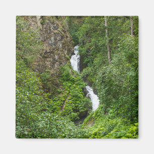 Imán Plush Thunderbird Painterly