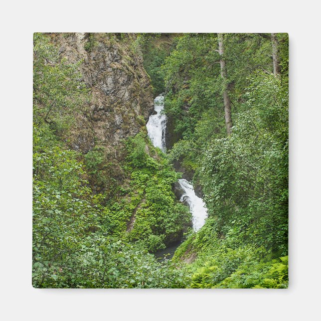 Imán Plush Thunderbird Painterly (Frente)