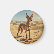 Podenco Faraónico