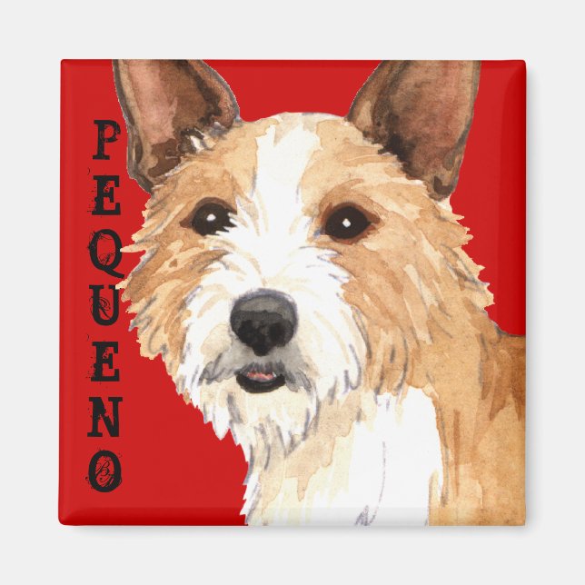 Imán Podengo Pequeno (Frente)