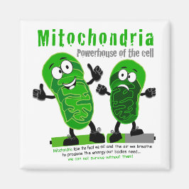 Imán Poderosa mitocondria de la célula