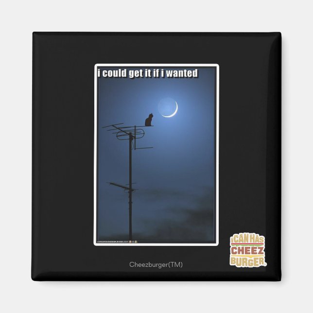 Imán Podría conseguirlo si quisiera (Frente)