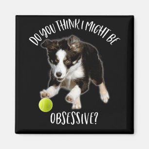 Imán Podría Ser Obsesivo Y Típico Collie De Fronteras