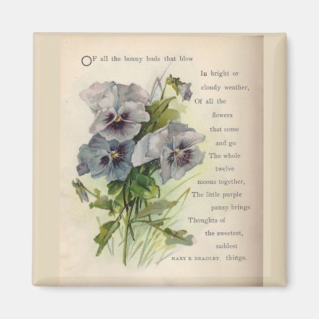 Imán Poema victoriano Gray Purple Pansies Magnet (Frente)