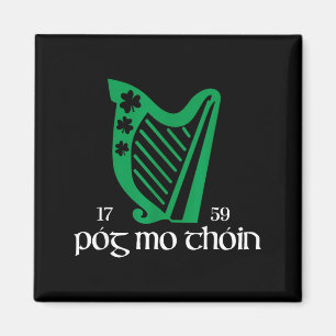 Imán Póg Mo Thóin Irlanda Divertido Suerte Irlandés Ver