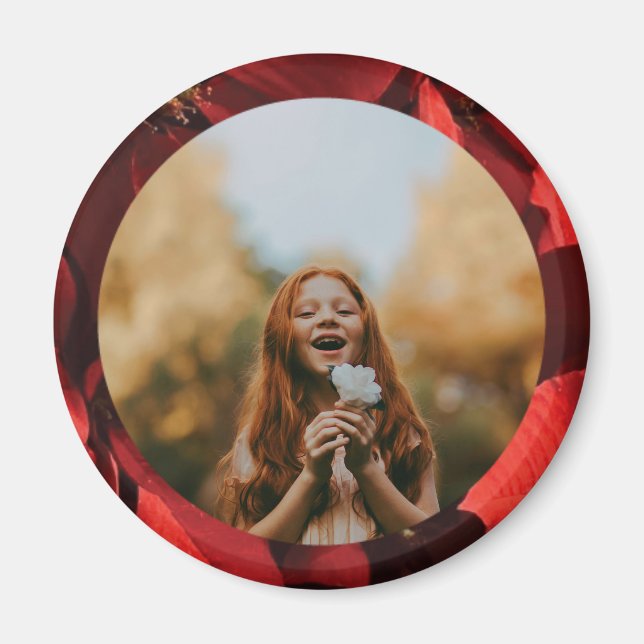 Imán Poinsettia Petals Frame Photo Round Magnet (Frente)