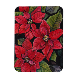 Imán Poinsettia vibrante en acuarela