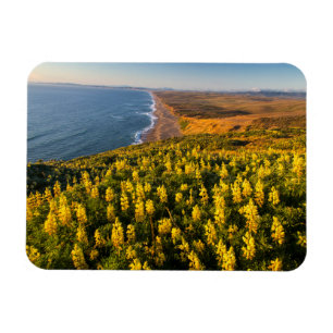 Imán Point Reyes National Seashore California