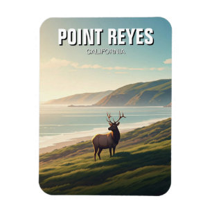Imán Point Reyes National Seashore Elk