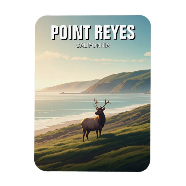 Imán Point Reyes National Seashore Elk (Vertical)