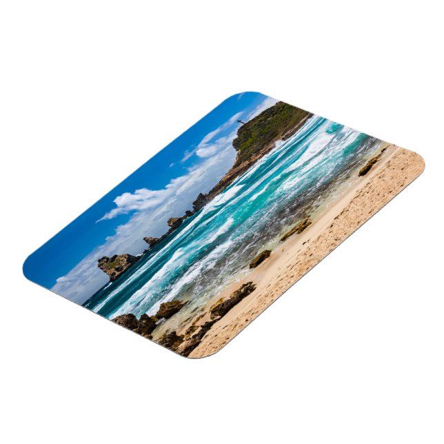 Imán Pointe des Chateaux, Grande-Terre, Guadalupe (Lado Izquierdo)