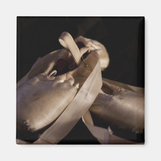 Imán Pointe Shoes Magnet