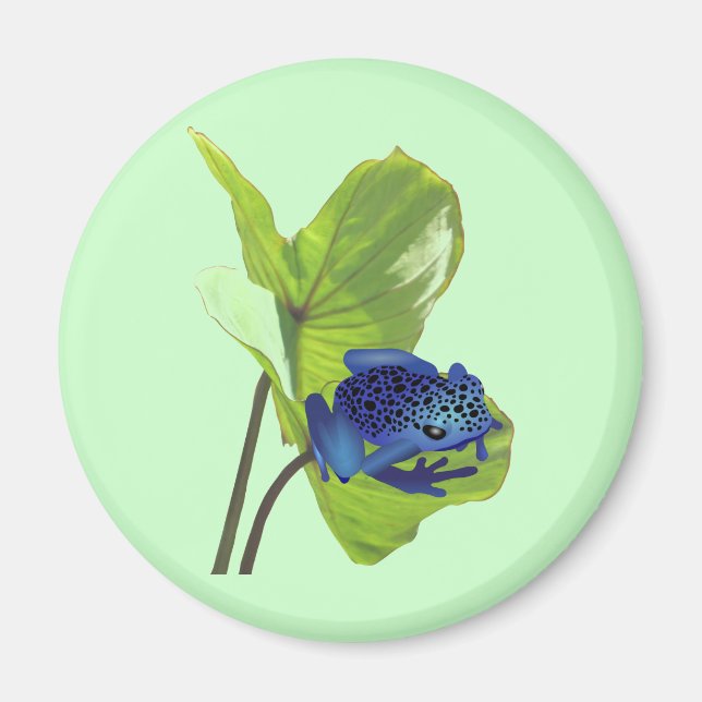 Imán Poison Dart Frog (Frente)