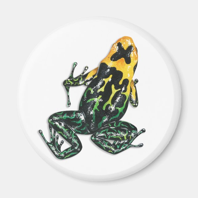 Imán Poison Dart Frog Magnet (Frente)