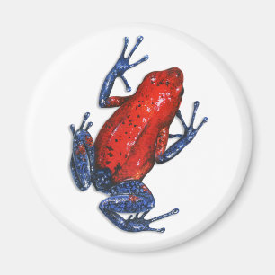 Imán Poison Dart Frog Magnet