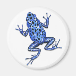 Imán Poison Dart Frog Magnet