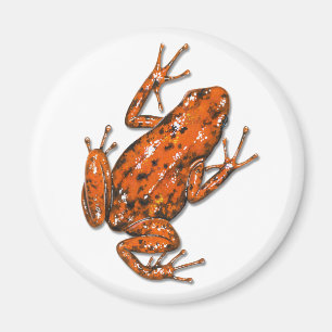 Imán Poison Dart Frog Magnet