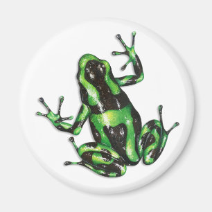Imán Poison Dart Frog Magnet