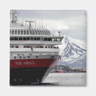 Imán polar de Cruiseship