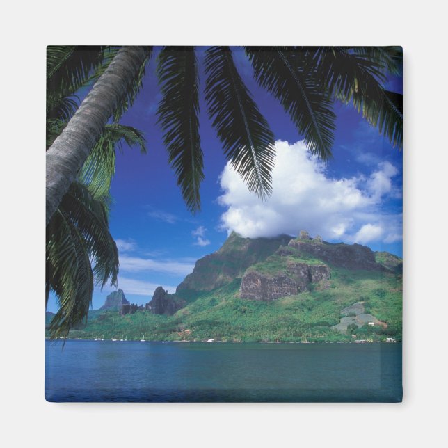 Imán Polinesia Francesa, Moorea. Bahía de Cooks. Verde (Frente)