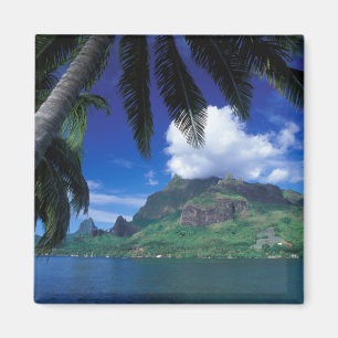 Imán Polinesia Francesa, Morea. Cooks Bay.Verde