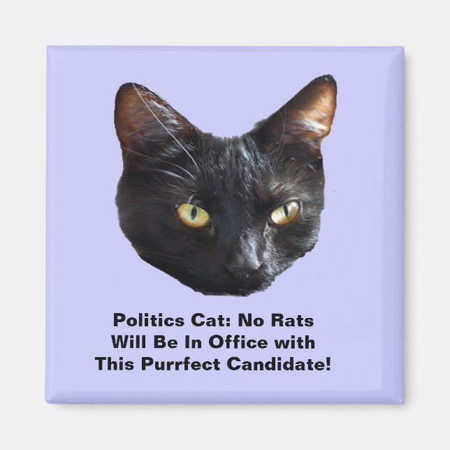 Imán Política Gato No Hay Ratas En El Cargo Sq Magnet (Frente)