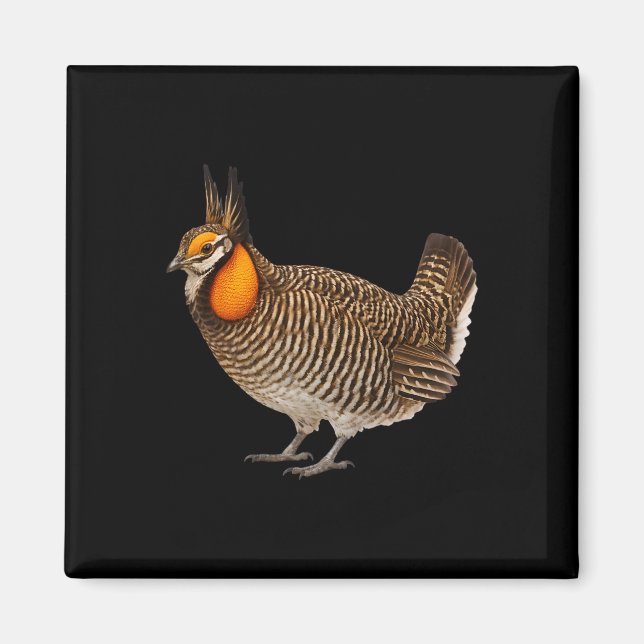 Imán Pollito de la Pradera de Attwaters Fauna Silvestre (Frente)