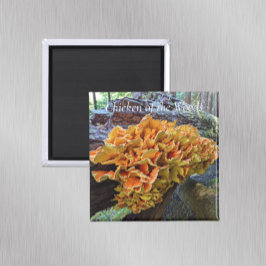 Imán Pollo de la foto de los champiñones de Woods