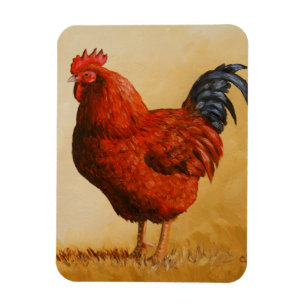 Imán Pollo Rojo de Rhode Island