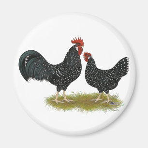 Imán Pollos de Ancona