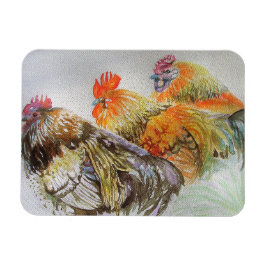 Imán Pollos de gallo de gallo de agua Watercolor Art Ma