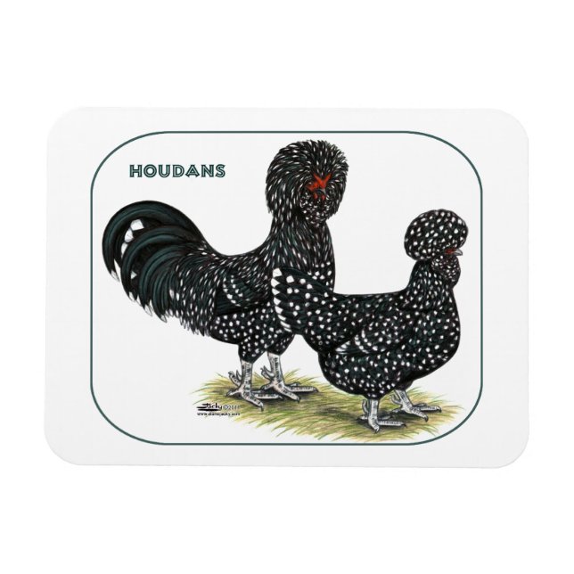 Imán Pollos de Houdan (Horizontal)