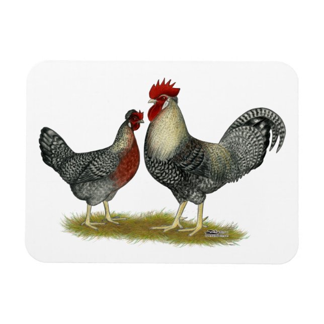 Imán Pollos de la barra de la garganta (Horizontal)