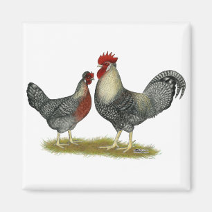 Imán Pollos de la barra de la garganta