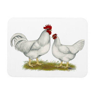 Imán Pollos de Lamona