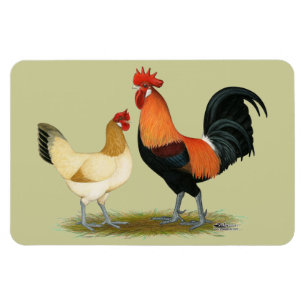 Imán Pollos de Penedesenca