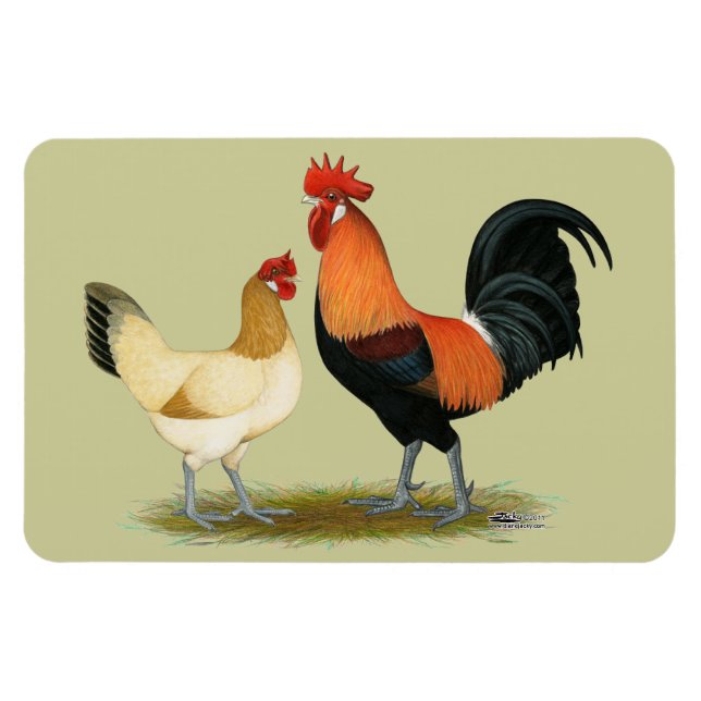 Imán Pollos de Penedesenca (Horizontal)