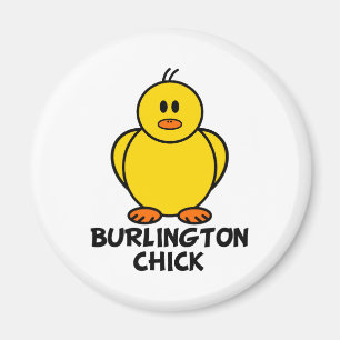 Imán Polluelo de Burlington Vermont