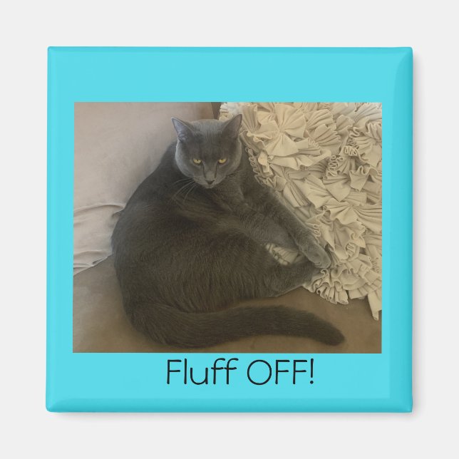 Imán Polo el gato Fluff Off imnet (Frente)