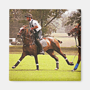 Imán Polo Pony Magnet