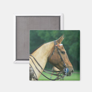Imán Polo Pony Magnet