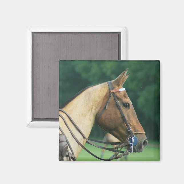 Imán Polo Pony Magnet (Anverso/Reverso)