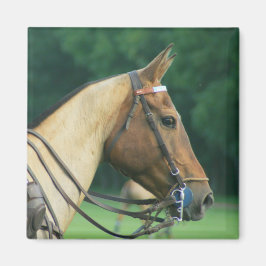 Imán Polo Pony Magnet