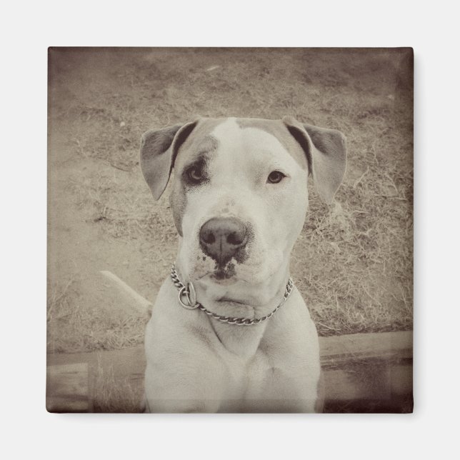 Imán Polo vintage (Frente)