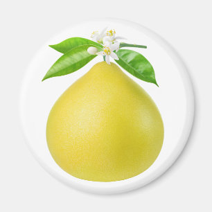 Imán Pomelo en una rama