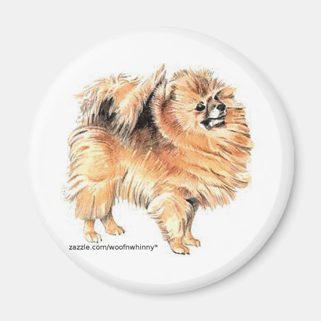 Imán ¡Pomerania! (Frente)