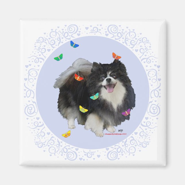 Imán Pomerania con Mariposas (Frente)