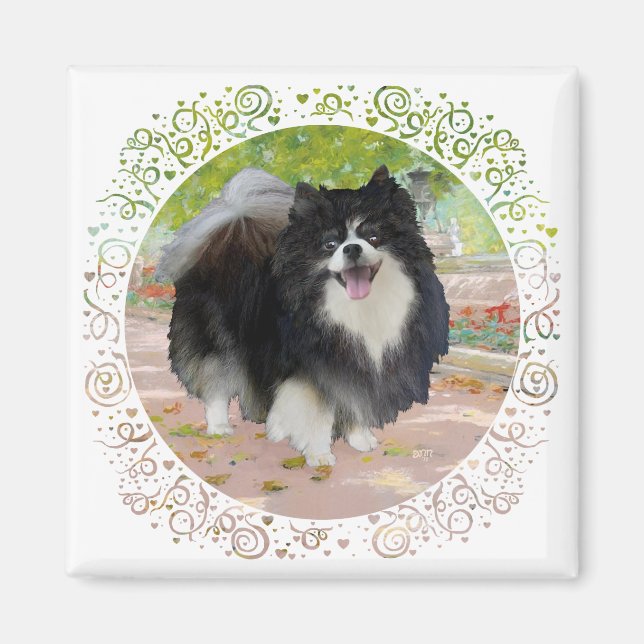 Imán Pomerania en Paseo Umbrío (Frente)