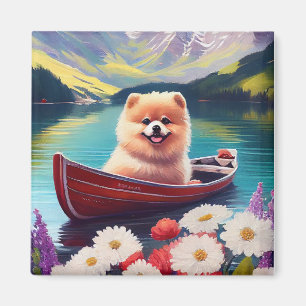 Imán Pomerania en una Pala: Una Aventura Escénica